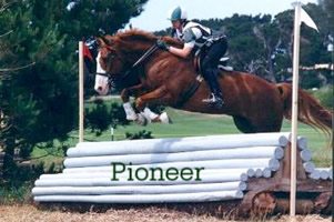 Banner the Horse, Jumping